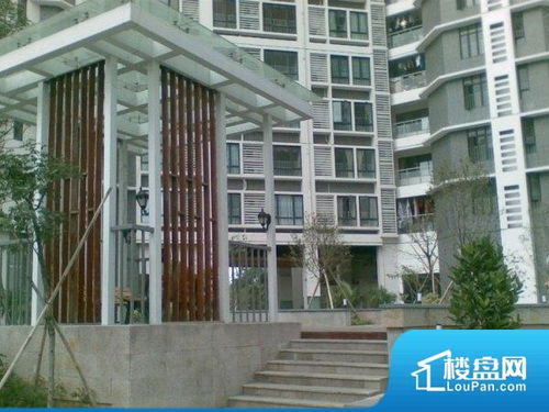 珠海珠江南湾小区实景图 珠海楼盘网