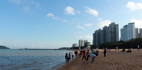 珠海对比深圳,同样靠近香港,为何gdp相差近10倍