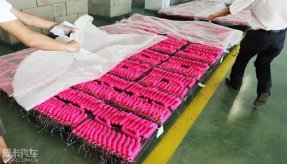 全球最大性用品加工厂:珠海*玩具厂